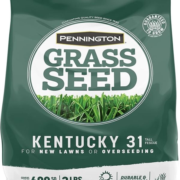 Pennington Kentucky 31 Tall Fescue Penkoted Grass Seed 3 lb